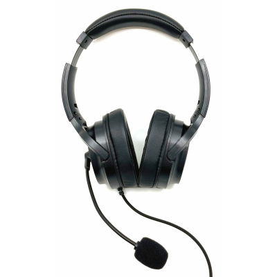 BT-875 Wireless Bluetooth® Stereo Headphones - Andrea Communications